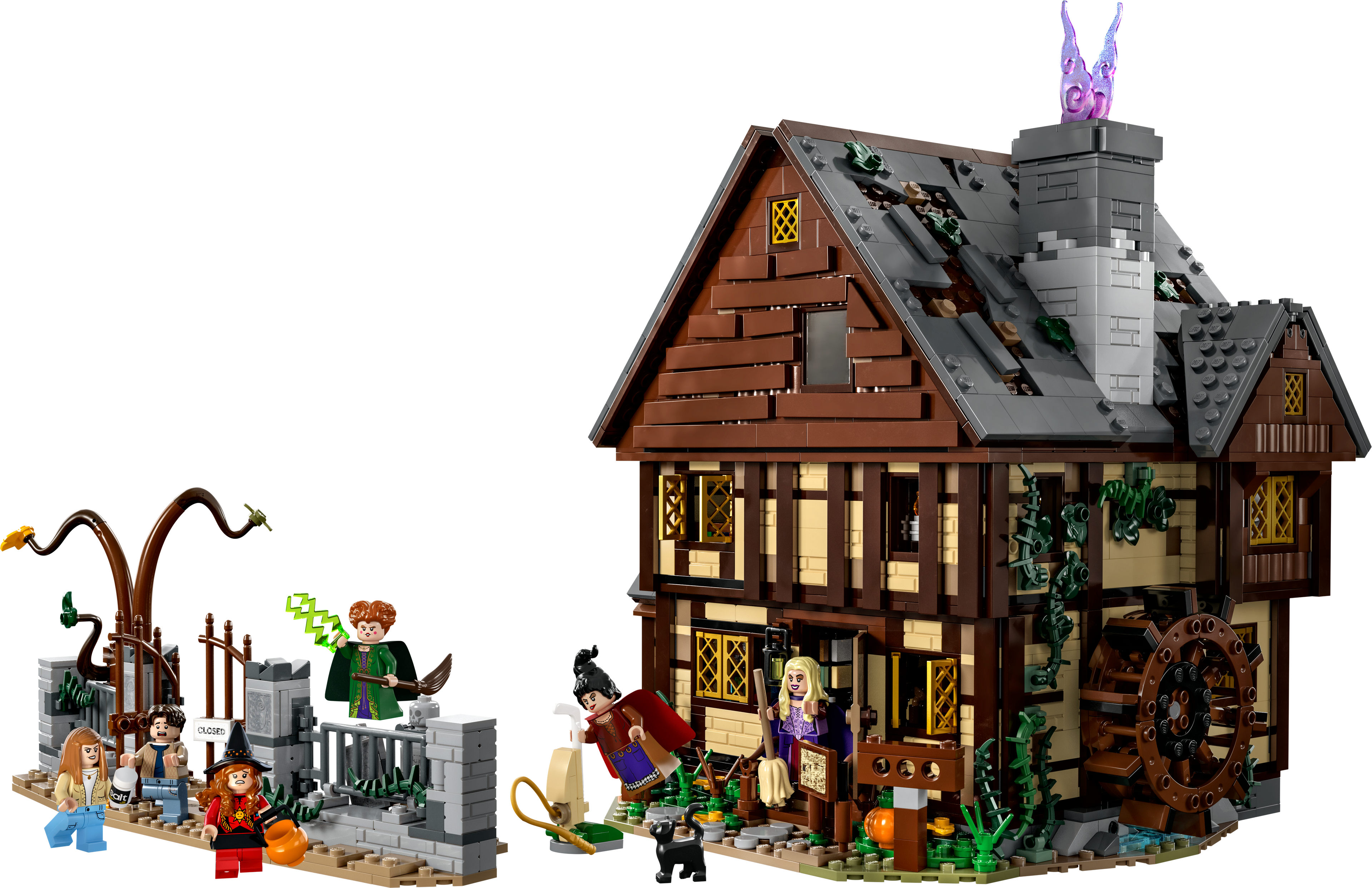 2316pcs 10900 Hocus Pocus The Sanderson Sisters' Cottage CN